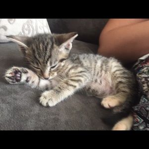 Meet your Posher, Kerri