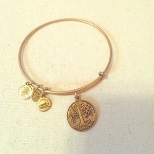 Gold tree of life Alex and Ani bracelet