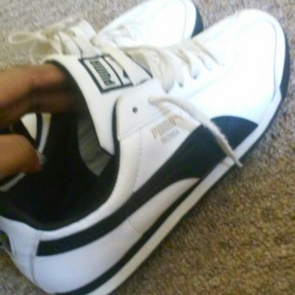 Puma romas