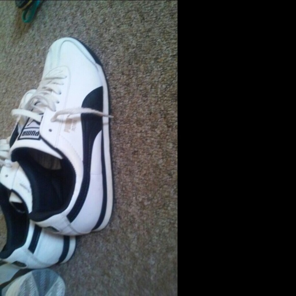 Puma romas - Picture 2 of 3