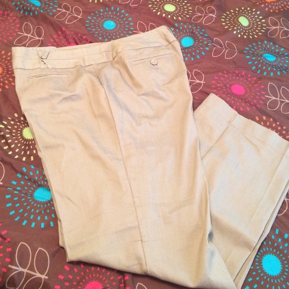 Dress pants