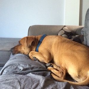 Meet your Posher, Andrea