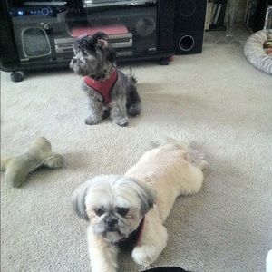 Meet your Posher, June