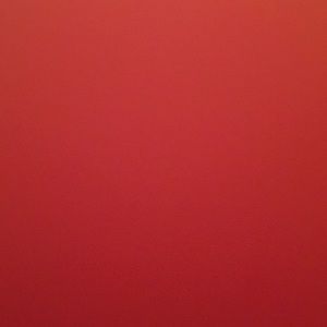 Meet your Posher, Karisma