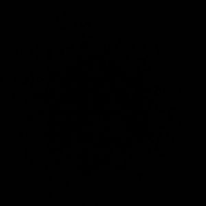 Meet your Posher, Rosa