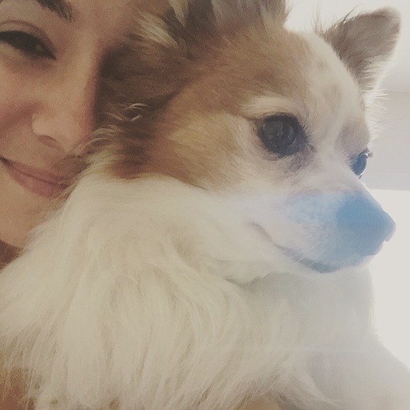 Meet your Posher, Greter - Picture 3 of 4