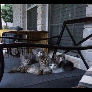 Meet your Posher, Joanna