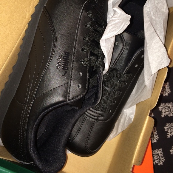 Pumas