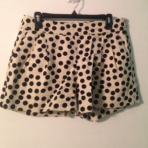 Cream and navy blue J.Crew shorts size 8