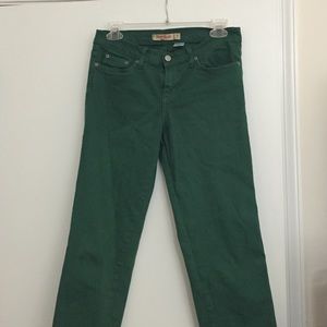 Judy Blue Green skinny jeans