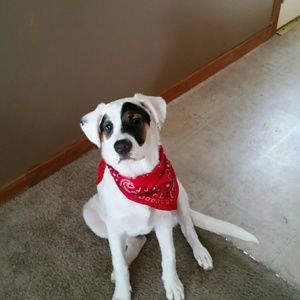 Meet your Posher, Jodie