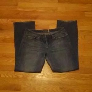 American Rag Boot Cut