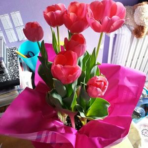 Meet your Posher, Victoria