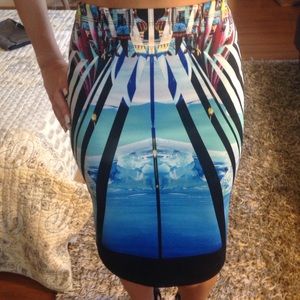Clover Canyon Glacial City Skirt