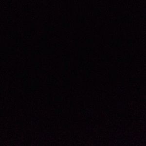 Meet your Posher, Torianna