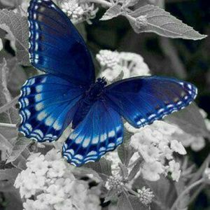 Meet your Posher, Patrice