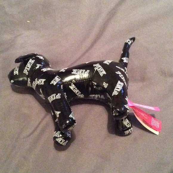 Vs Dog