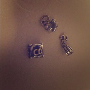 Pandora charms