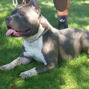 Meet your Posher, William