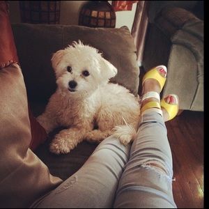 Meet your Posher, Lisveliz