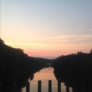 Meet your Posher, Beast