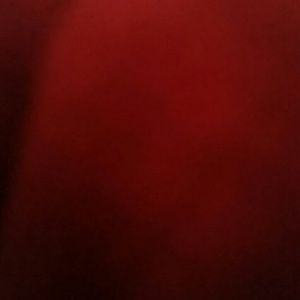 Meet your Posher, Triva