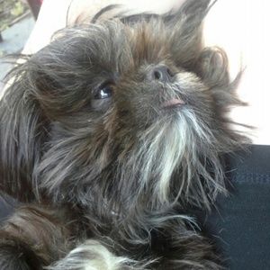 Meet your Posher, Dana