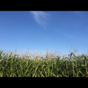 Meet your Posher, Gemma