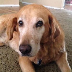 Meet your Posher, Vicky