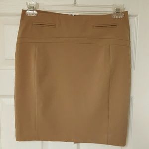 >>Express<< Pencil Skirt