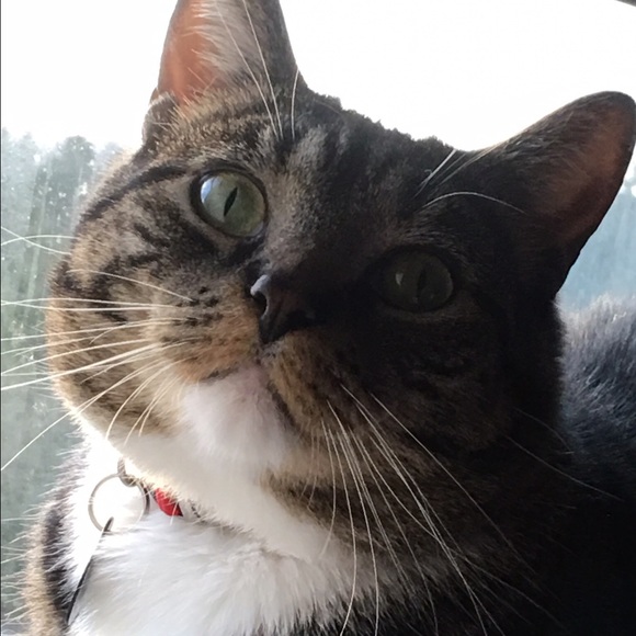 Meet The Seller - Picture 3 of 4