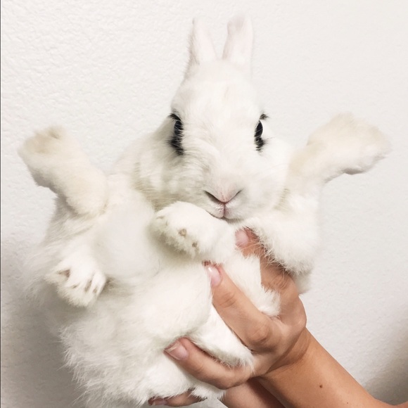 Meet Your Buyer/Seller - Picture 3 of 3