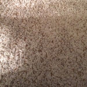 Meet your Posher, Sienna