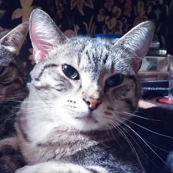 MEET YOUR POSHER! - Picture 2 of 4