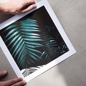 Meet your Posher, David