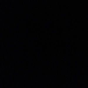 Meet your Posher, Sophia