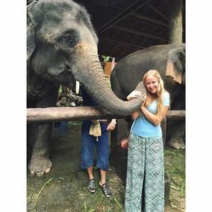 Meet your Posher, Ellen