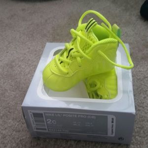Nike Posite Pro