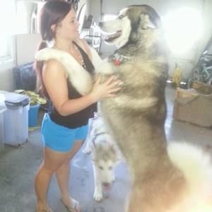 Meet your Posher, Lisa