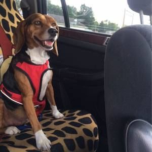 Meet your Posher, Kory