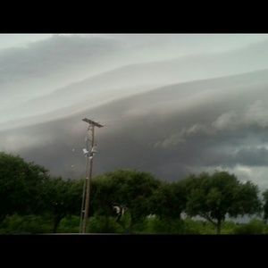 Meet your Posher, Earlene