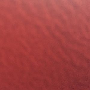 Meet your Posher, Monae