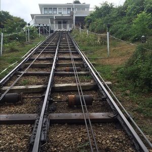 Meet your Posher, Deedee