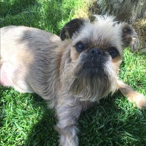 Meet your Posher, Amy