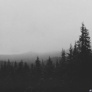 Meet your Posher, Kaylee