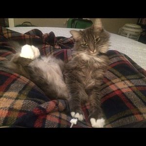 Meet your Posher, Katie