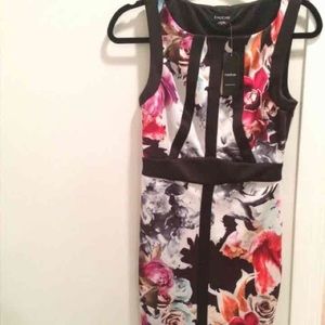 Bebe Bodycon Winter Floral Dress
