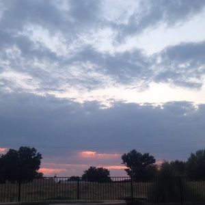 Meet your Posher, Ivy