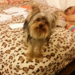 Meet your Posher, Cristina