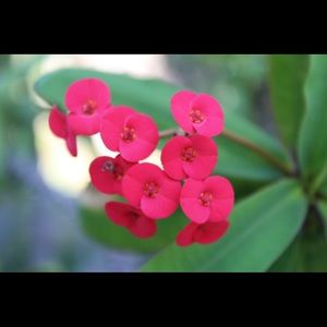 Meet your Posher, Dona